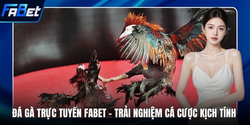 Đá gà trực tuyến FABET